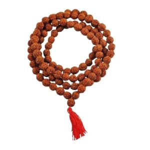 Certificate for Wearing and Japa Mala - Kanthi Mala - 5 Mukhi Mala, 108 Beads for puja Jaap