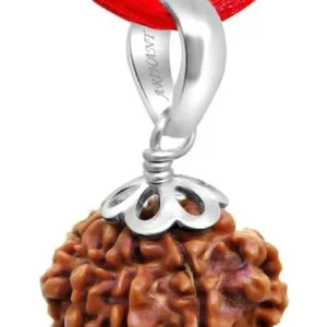 Certified Natural 7 Mukhi/Faced Nepali Rudraksha Pendant in 925 Silver – Unisex Spiritual Jewelry